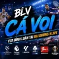 BLV CÁ VOI